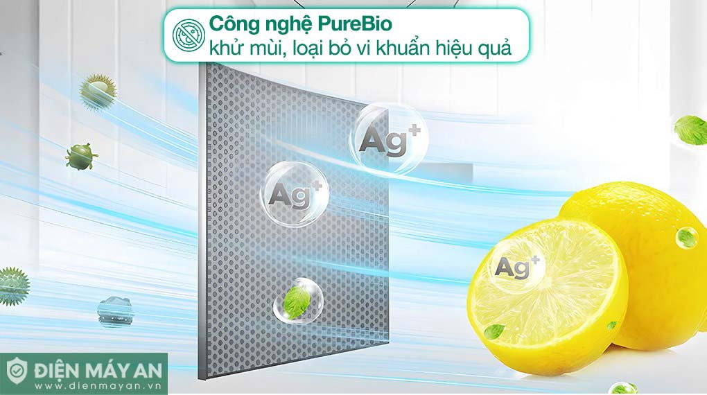 Tủ Lạnh Toshiba Inverter 338 Lít GR-RT468WE-PMV(58)-MM - công nghệ kháng khuẩn khử mùi